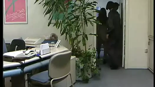 Alacakaranlık 23 romy panthera dped