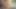 Fantasymassage dani daniels lezbiyen nuru deney