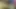 Hint hizmetçi kıllı kedi sikme ev sahibi