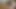 Berkemann ayakkabılı travesti ayaklar