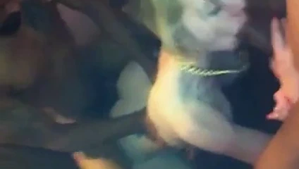 Beyaz sürtük iki bbcs tarafından sert kullanır