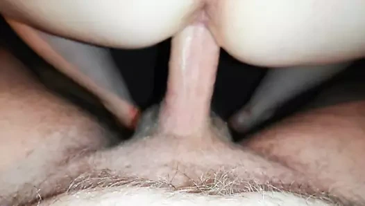 köpek stili eğlence