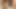 Afrikalı orospular ABD'de porno dökümü!!! - döküm numarası 45