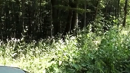 Young vom Karlsplatz