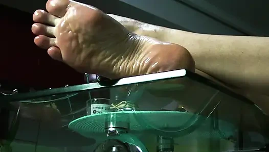 Locktober bekaret kadın egemenliği