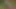 metresi kullanın onu erkek fahişe