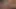 Orta yaşlı seksi kadın lateks içinde sakso çekiyor ve diline boşalıyor