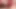 Trans ayı seksi yavruya yalıyor