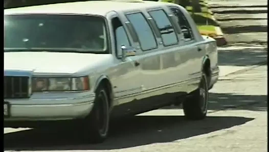 Açlıktan ölmek üzere olan birkaç esmer şelaleye karşı açık havada bir penisin tadını çıkarıyor