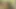 Büyük siyah horoz oral seks - busty siyah bbw berbat ve büyük horoz sikikleri