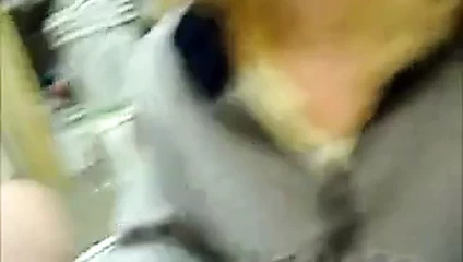 Garajda oral seks bana döllerini gösteriyor