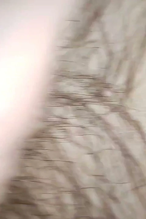 Sevimli doğal femboy bir balık kemiğine atlıyor ve kameraya boşalıyor