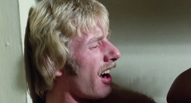 Pembe bayanlar (1980) - sahne 8. vanessa del rio, jesse adams