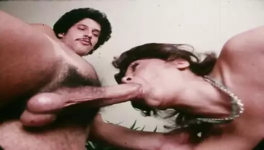 Toplam yanıtı (1977) 1/2