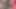 Japon tanrıça hd porno videoda kıllı amcığını gösteriyor