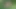 3 guys blonde fucked hard in the forest