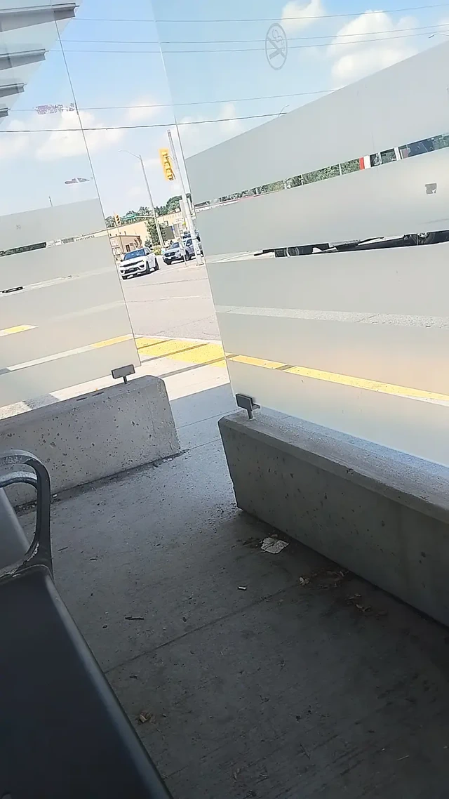 Exposing tiny cock in broad daylight at public bus stop.