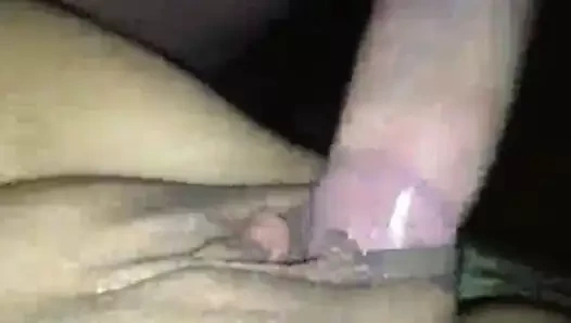 Arkadaş lanet benim şişman inek kedi