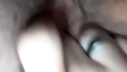 İspanyol esmer tüylü kedi yayılır