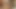 Shannon kelly teaser 7
