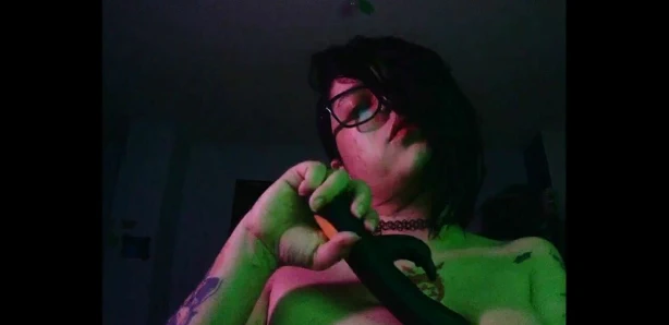 Özel oturum: yakın çekim ve ıslak kedi