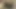 Komşu evi ziyaret edin ve kıyafetleri koklayın