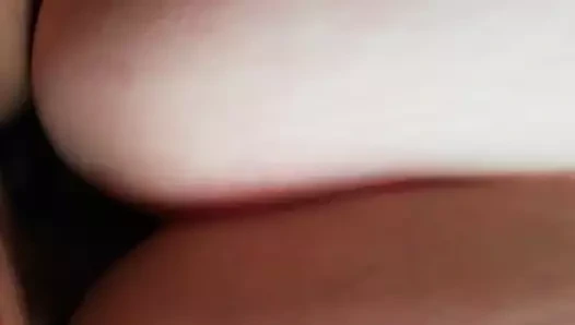 Metres köpek içinde otel