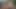 Lola bunny uzay reçeli anal hentai tüylü animasyonlu