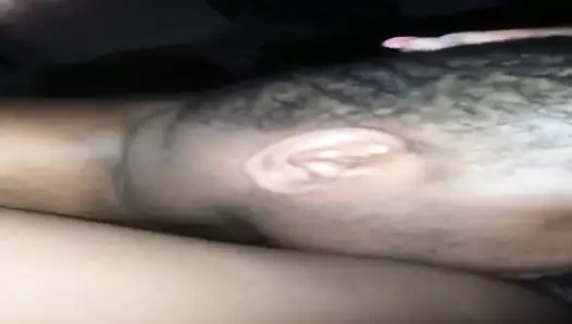 Yalama bir sulu abanoz kedi