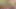 Travesti güzel yarağa fışkırtmayı bırakamıyorum