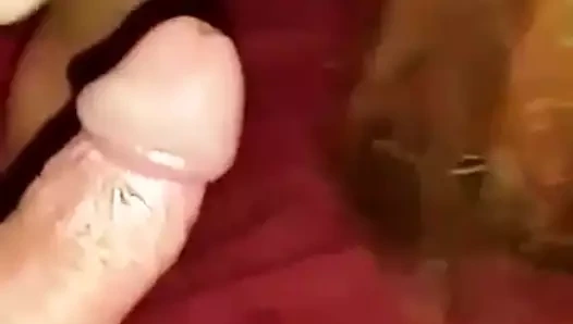 Aldatılan seks ile yeni sıcak eş itibaren benim en iyi arkadaşım