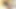 Seksi kız uzun bir dildoyla sıkı amını sikerken inliyor