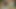 Porno inek Avrupa: Avrupalı 12