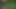 Exotische Schlampe im hohen Gras Outdoor gefickt