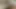 Japon kıllı kedi altında külotlu çorap