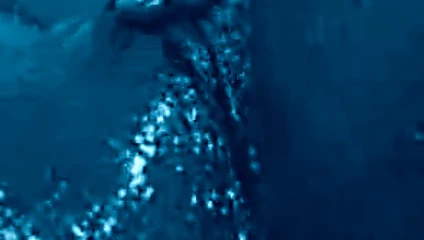 Nicole sağladım için beni