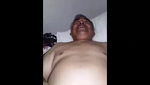 Latino baba bear seviyor varlık kahrolası