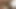 Güzel ladyboy berbat horoz içinde pov ve hoşlanır Meme kahrolası