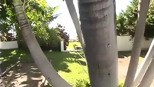 Cabo, geri dönüş. Bölüm 3