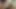 Dalış içinde bir mükemmel Alman kedi yalama eylem
