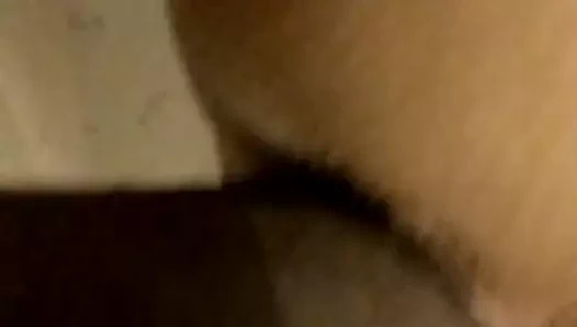 fodendo o cu da minha gata