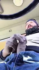 Kamyoncu baba ayı dölü