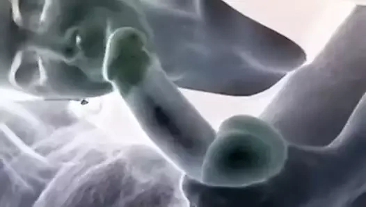 Gırtlağına kadar alma topları