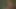 Doğa seks gezisi - m27