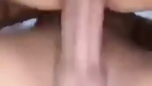 Yunan kauliara xiotissa patrinia,