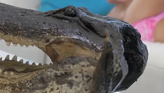 Khiara'yı Rüya Görmek