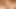 latina