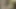Evli kadın erkeğinin yarağını sesli yarakla tatmin ediyor