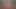 Siyah tgirls - cıvıl cıvıl ateşli baharatlı chica soyunuyor