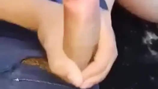 El iş Hint horoz